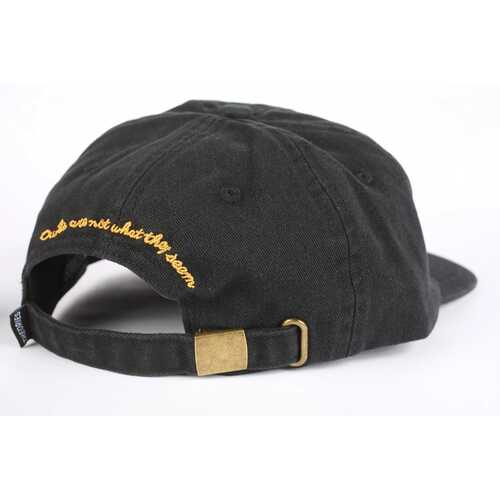 Theories Hat Not What They Seem Strapback Black