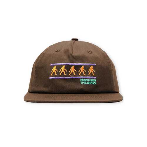 Theories Hat Northern Theories Emboroidered Snapback Brown