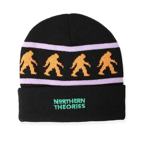 Theories Beanie Northern Theories Black