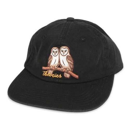 Theories Hat Not What They Seem Strapback Black