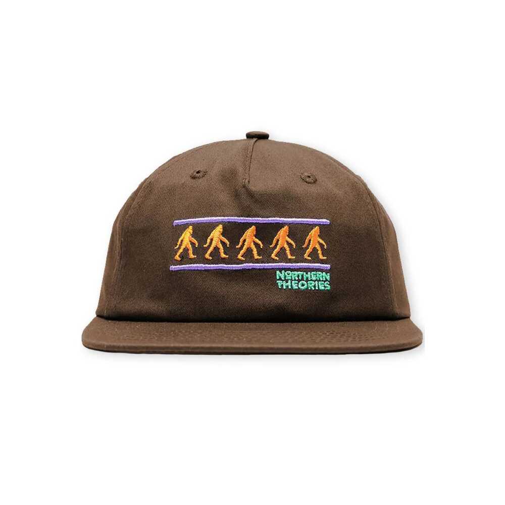 Theories Hat Northern Theories Emboroidered Snapback Brown