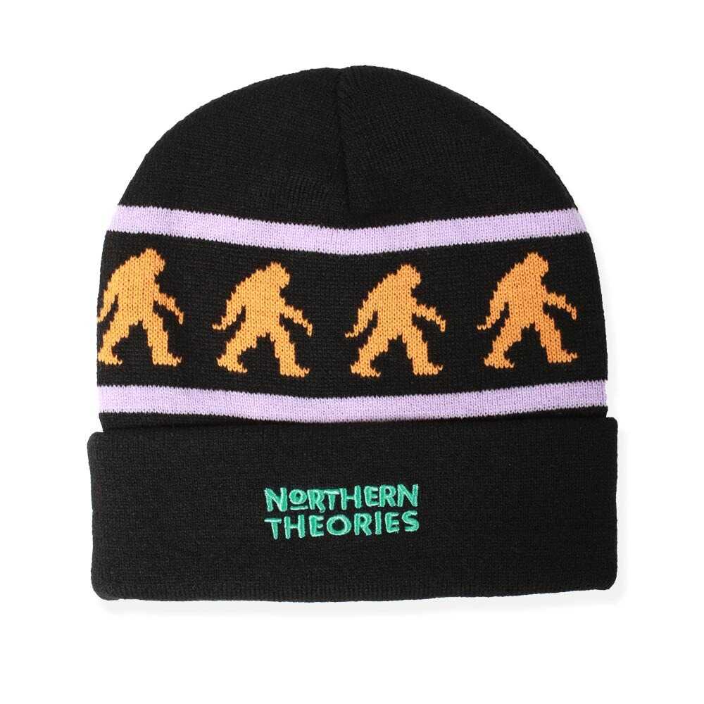 Theories Beanie Northern Theories Black